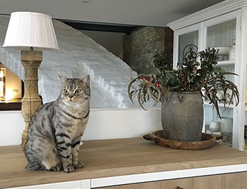 Schöner aus Pinie und Eiche - Küche im modernen Landhausstil in Modulbauweise