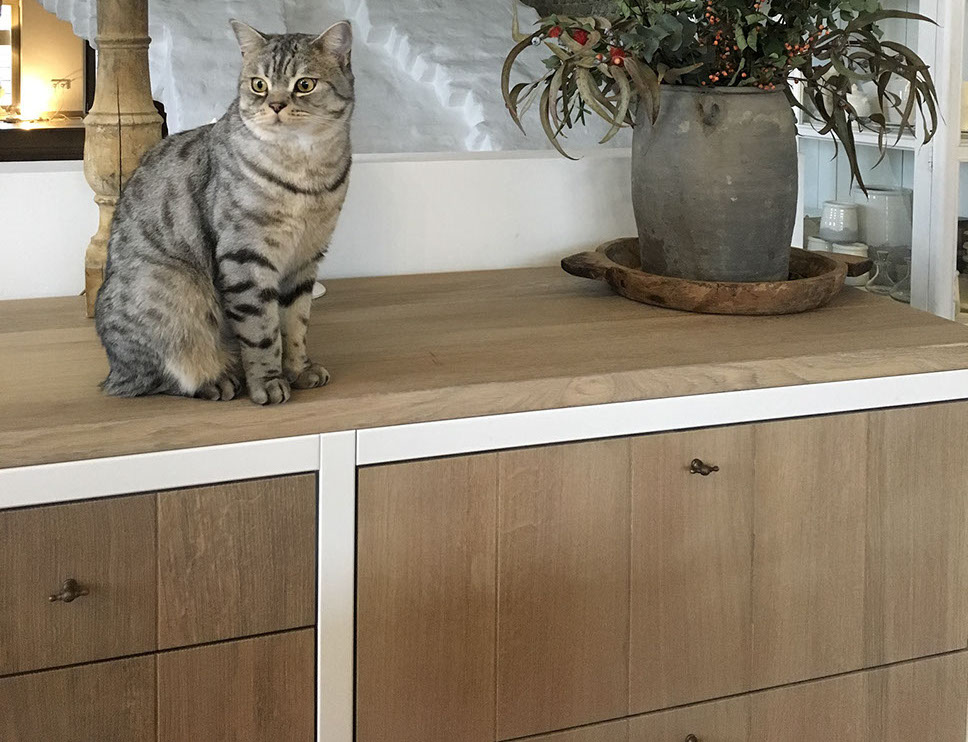 Home | Charme de Provence - Interior Designer Berlin