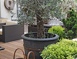 Handgefertigte Töpfe aus der Provence