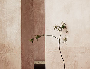 Wir suchen einzigartige Stücke für Ihr Heim, welches die Architektur unterstützen und Sie nicht erdrücken.