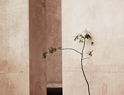 Wir suchen einzigartige Stücke für Ihr Heim, welches die Architektur unterstützen und Sie nicht erdrücken.