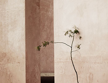 Wir suchen einzigartige Stücke für Ihr Heim, welches die Architektur unterstützen und Sie nicht erdrücken.