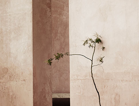 Wir suchen einzigartige Stücke für Ihr Heim, welches die Architektur unterstützen und Sie nicht erdrücken.